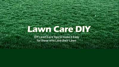 lawn-care-diy-grass-Image